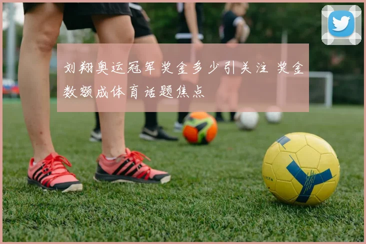 刘翔奥运冠军奖金多少引关注 奖金数额成体育话题焦点
