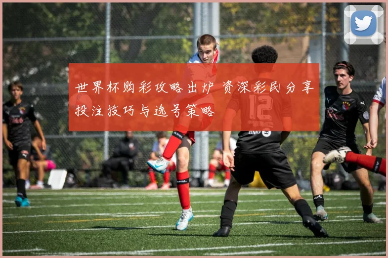 世界杯购彩攻略出炉 资深彩民分享投注技巧与选号策略