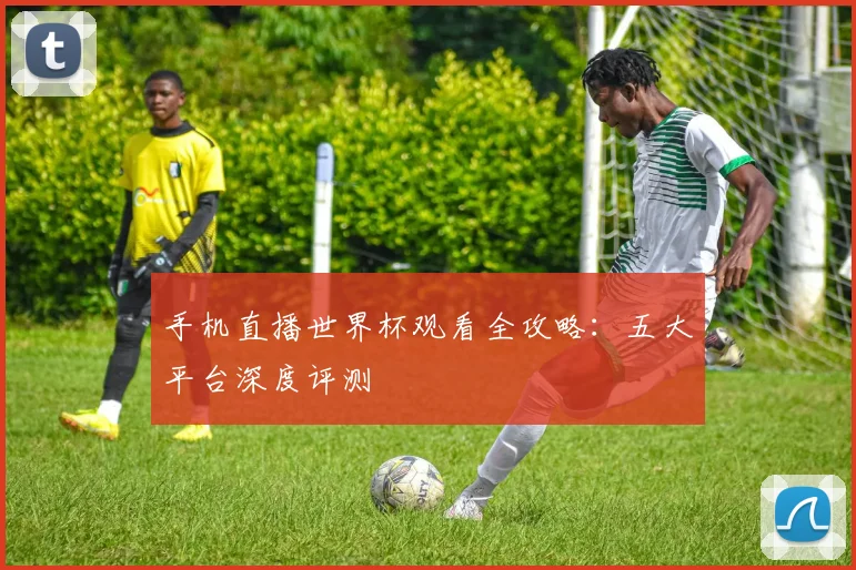 手机直播世界杯观看全攻略：五大平台深度评测